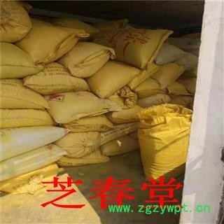 中药材批发蒲黄 无硫蒲黄粉 承接大货 支持检验蒲黄粉图4