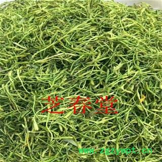 新货金银花 正宗优质河南金银花青花茶 品质保证有大货忍冬二花图4