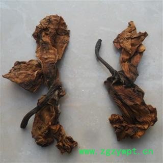 正品中药材 鸡蛋花、蛋黄花、擂捶花、大季花 量大从优图4