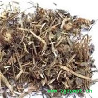 吉康药业中药材紫锥菊 松果菊 紫锥花图2