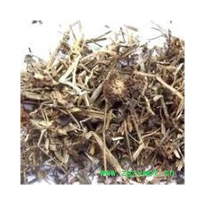 吉康药业中药材紫锥菊 松果菊 紫锥花