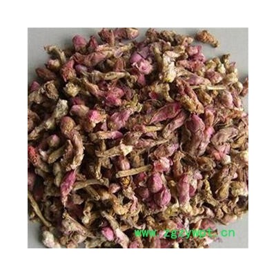 吉康药业款冬花 手选款冬花净货 颜色新鲜 花朵大 产地 甘肃省