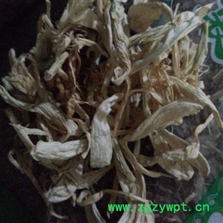 吉康药业 玉簪花 白玉簪花玉春棒 白鹤花 白鹤仙 白玉簪新 货图2