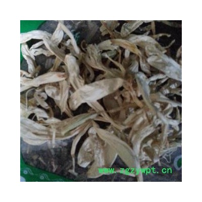 吉康药业 玉簪花 白玉簪花玉春棒 白鹤花 白鹤仙 白玉簪新 货