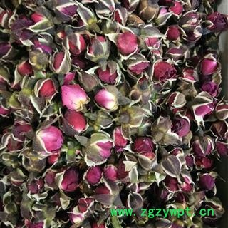 玫瑰花 金边玫瑰 产地 云南省图2