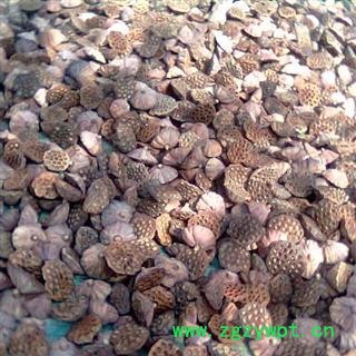 莲房 统货 产地 江西省图2