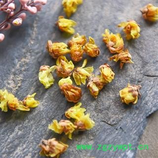 腊梅花 腊梅花干 腊梅花图2