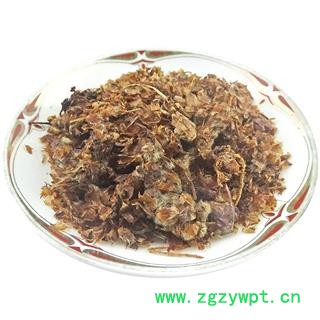 杨树花 中药材 杨树须 杨树芽 杨树花 杨絮图4