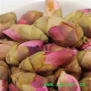 圣草康园新货 山桃花 颜色好图2