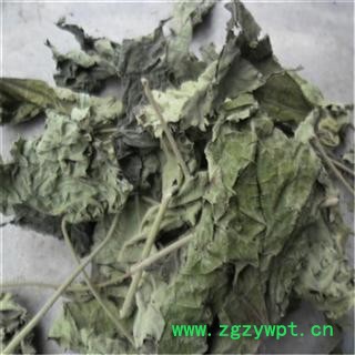 芝春堂中药材批发零售供应冷背正品优质无硫芙蓉花芙蓉叶地芙蓉一件代发图4