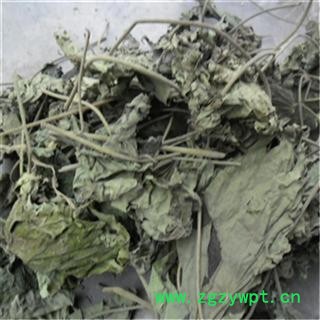 芝春堂中药材批发零售供应冷背正品优质无硫芙蓉花芙蓉叶地芙蓉一件代发图3