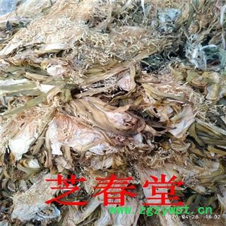 霸王花  剑花 七星剑花 霸王鞭 量天尺 风雨花 干净无杂 一件代发图3