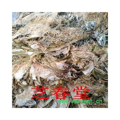 霸王花  剑花 七星剑花 霸王鞭 量天尺 风雨花 干净无杂 一件代发