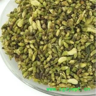 槐米 选 批发零售各种规格中药材 花茶 籽粒仁 产地 亳州图2