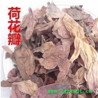 吉康药业中药材 荷花 荷花瓣 莲花瓣 干荷花 三花祛皱液原料图2