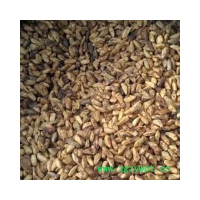 吉康药业中药材 甜石榴子 石榴籽防口臭