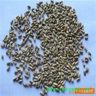 吉康药业中药材 甜石榴子 石榴籽防口臭图2