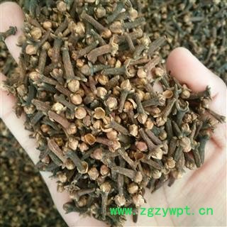 公丁香 丁香小花统货 产地 海外图2