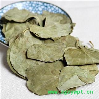 中药材丁香叶 干丁香叶子 另有石楠叶图3