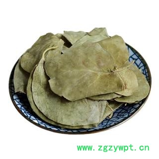 中药材丁香叶 干丁香叶子 另有石楠叶图4