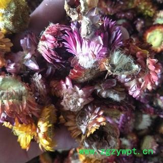 吉康药业七彩菊 七彩菊花 无硫新货图2