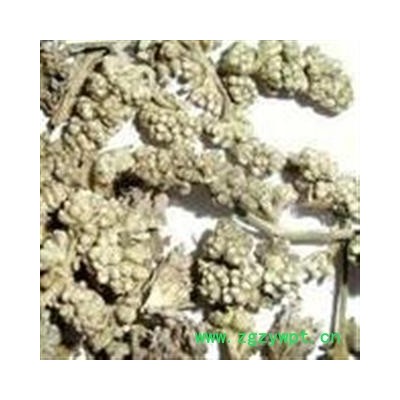 密蒙花 统 产地 陕西省西安市市辖区