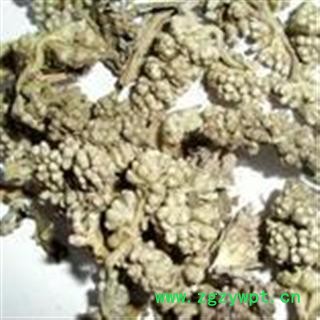 密蒙花 统 产地 陕西省西安市市辖区图2