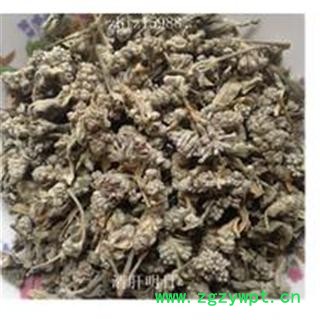 密蒙花 统 产地 陕西省西安市市辖区图3