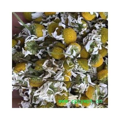 吉康药业新货 洋甘菊 158元/公斤 实体店有售