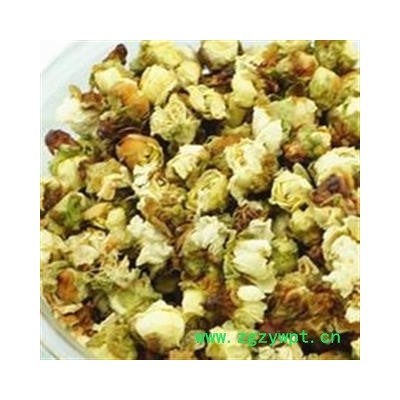 吉康药业白梅花 绿萼梅  花茶