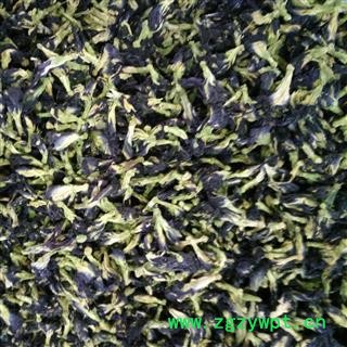 蓝蝴蝶 蝴蝶花 琼花 花茶精品 产地 甘肃省图2