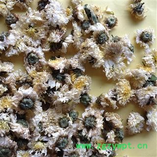 贡菊花  黄山贡菊 统货 产地 安徽省图2