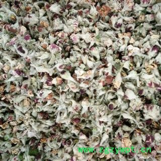 苹果花 一级茶用 产地 山东省图2