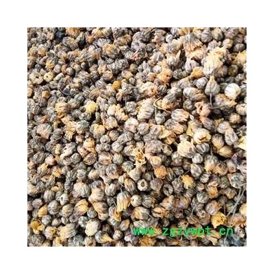 野菊花  颗粒 选货 产地 河南省