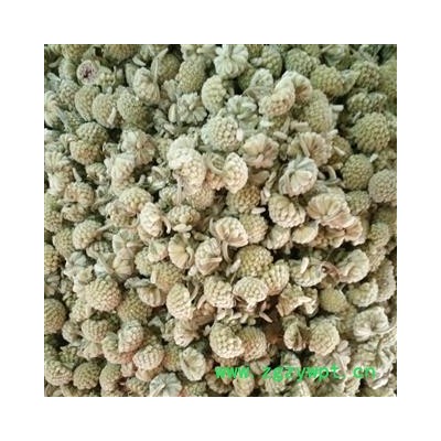 绿萝花 特级选货 产地 西藏自治区