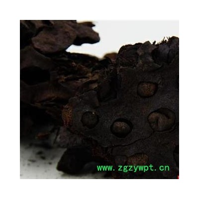 圣草康园莲蓬 莲蓬炭