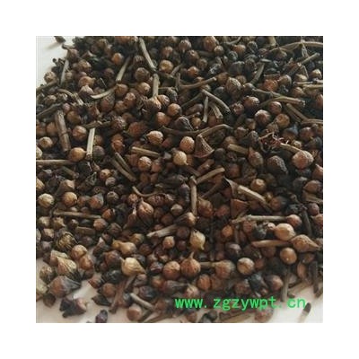 圣草康园水翁花 水雍花、大蛇药