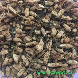 圣草康园代代花 玳玳花今年新货保质保量图3