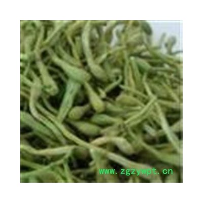 圣草康园中药材金银花 双花  双花产地河北巨鹿 金银花  质量优于药用花 茶饮级别