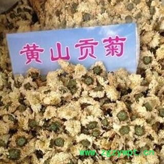 优质正品【黄山 贡菊花茶】旺季大促销，超低价！图3
