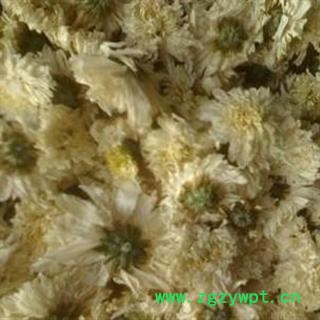 优质正品【黄山 贡菊花茶】旺季大促销，超低价！图2