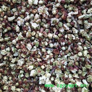 芝春堂新货上市 白梅花 绿萼梅 绿梅花 花草茶批发 量大从优图2