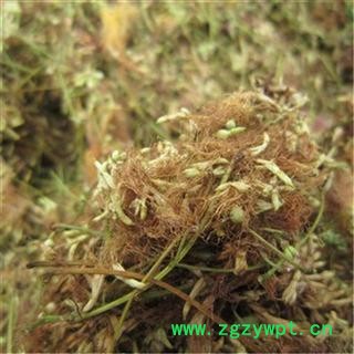 芝春堂中药材批发零售供应冷背正品优质无硫合欢花夜合欢支持验货图2