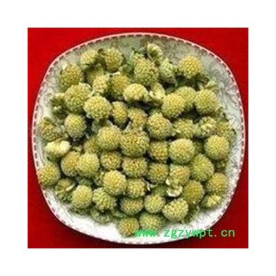 绿萝花 雪梨花 雪里花 雪里开 地雷拐子药