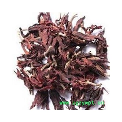 吉康药业中药材白玉花 玉兰花 木兰花