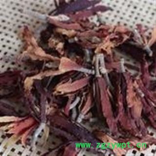 吉康药业中药材白玉花 玉兰花 木兰花图2