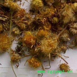 吉康药业旋复花 金钱花 夏菊 金钱菊 六月菊 复花 小黄花 金沸花 颜色好图2