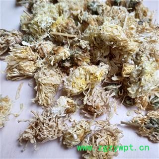 菊花 亳菊花选货  产地 安徽省图2