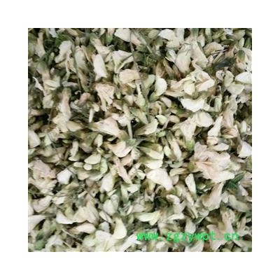 槐花 洋槐花 产地 安徽省