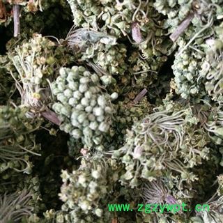 三七花 三年花一般货 产地 云南省